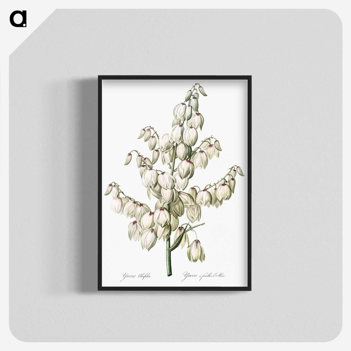 1-20_The-Lilies_blk-crop