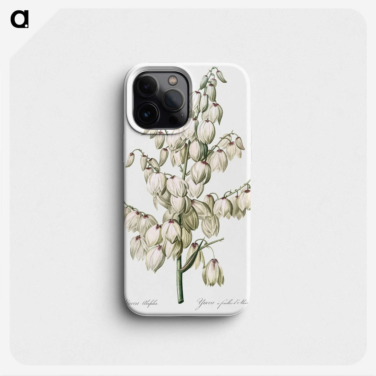 1-20_The-Lilies_phone