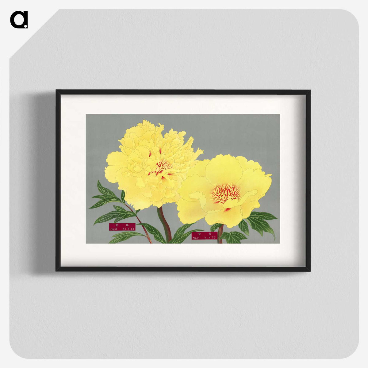 1-20_The-Picture-Book-of-Peonies_blk