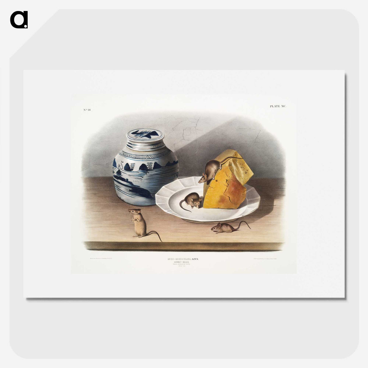 1-20_The-Viviparous-Quadrupeds_picture