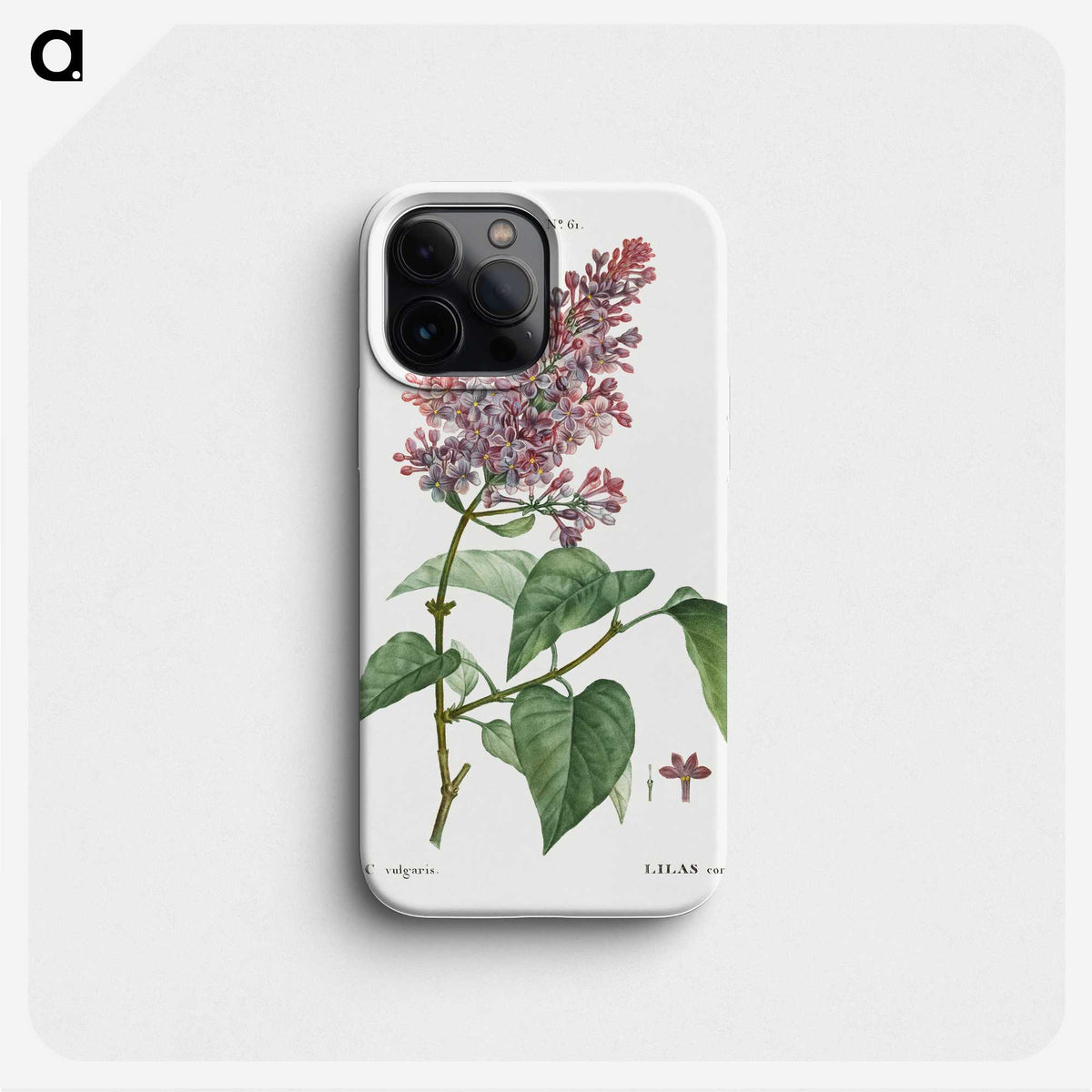 1-20_Treatise-on-Trees-and-Shrubs_phone