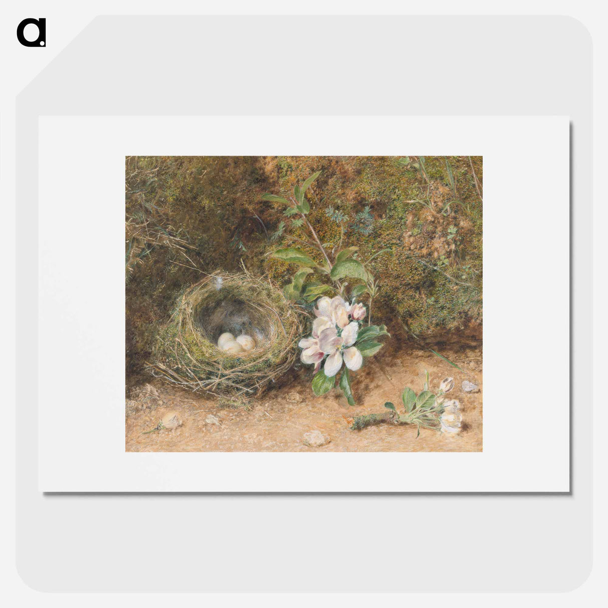 アートポスター-Bird's Nest with Sprays of Apple Blossoms - ウィリアム ヘンリー ハント Poster.
