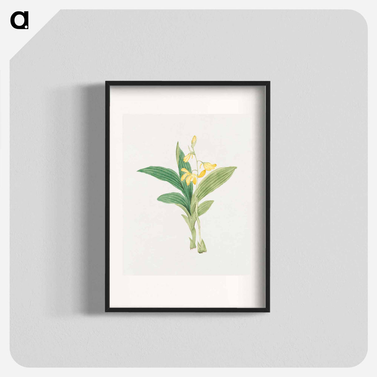 kin–ran - 19世紀の日本の花 Poster.