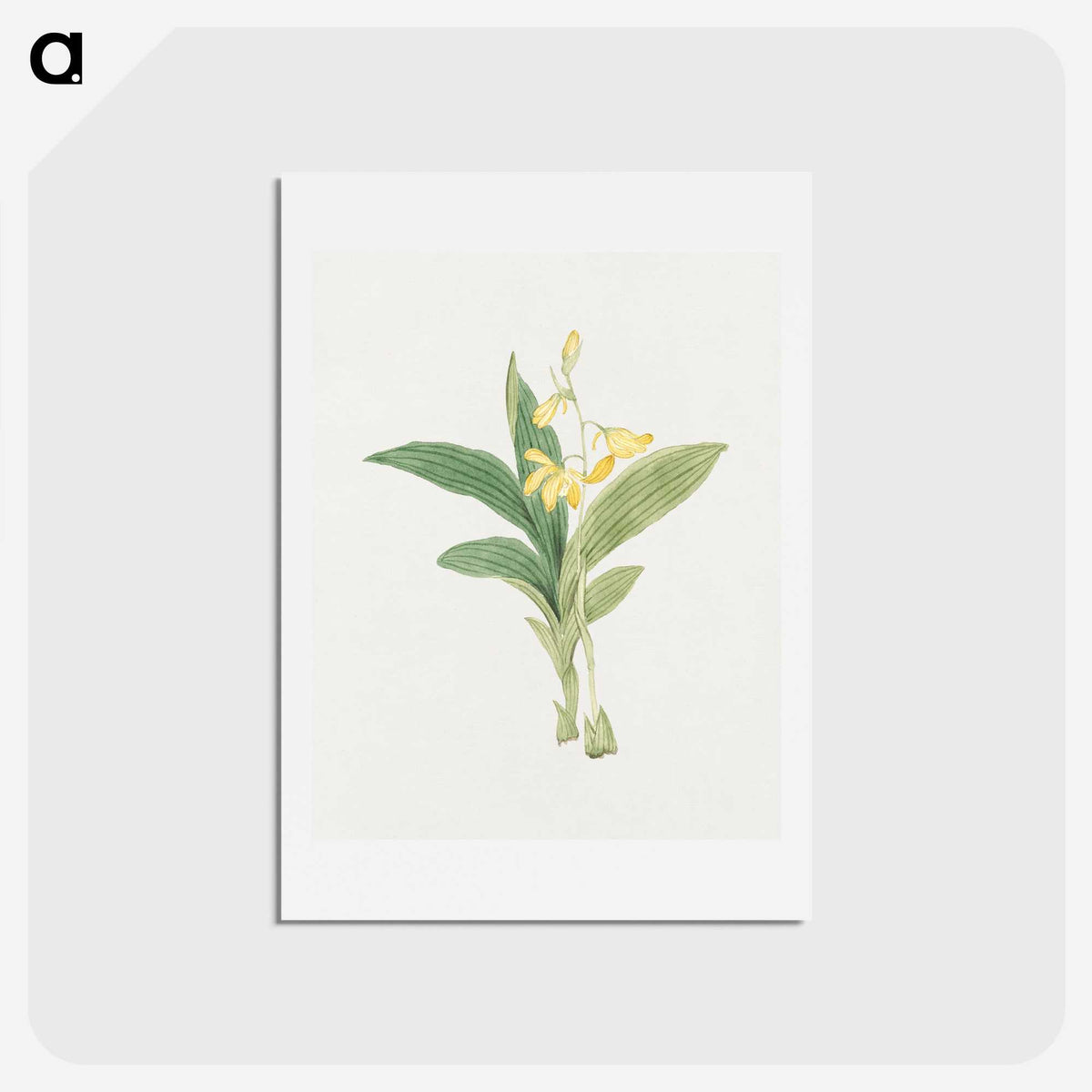 1-21_19th-Century-Japanese-Flowers_hagaki