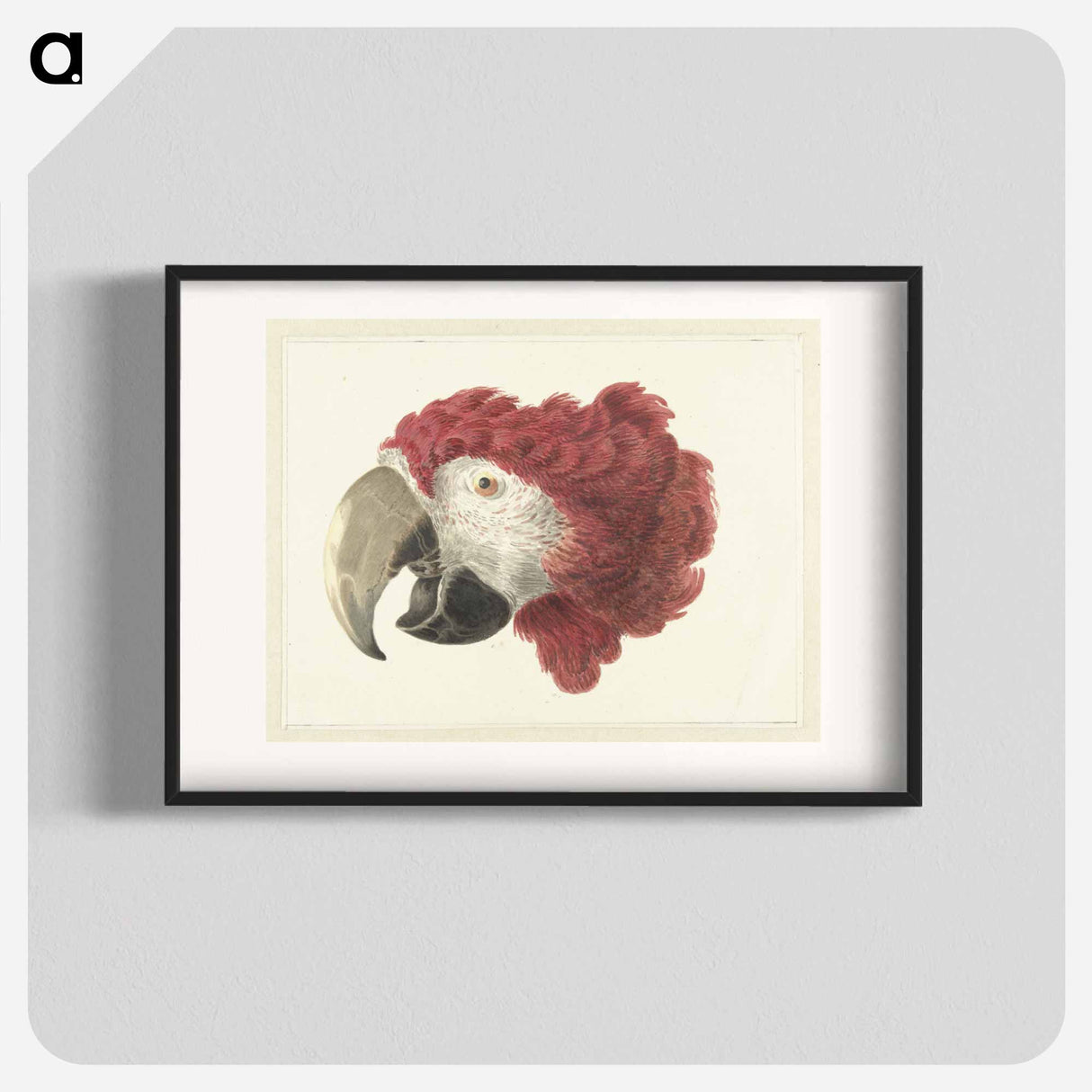 Head of a Macaw - アールト シューマン Poster.