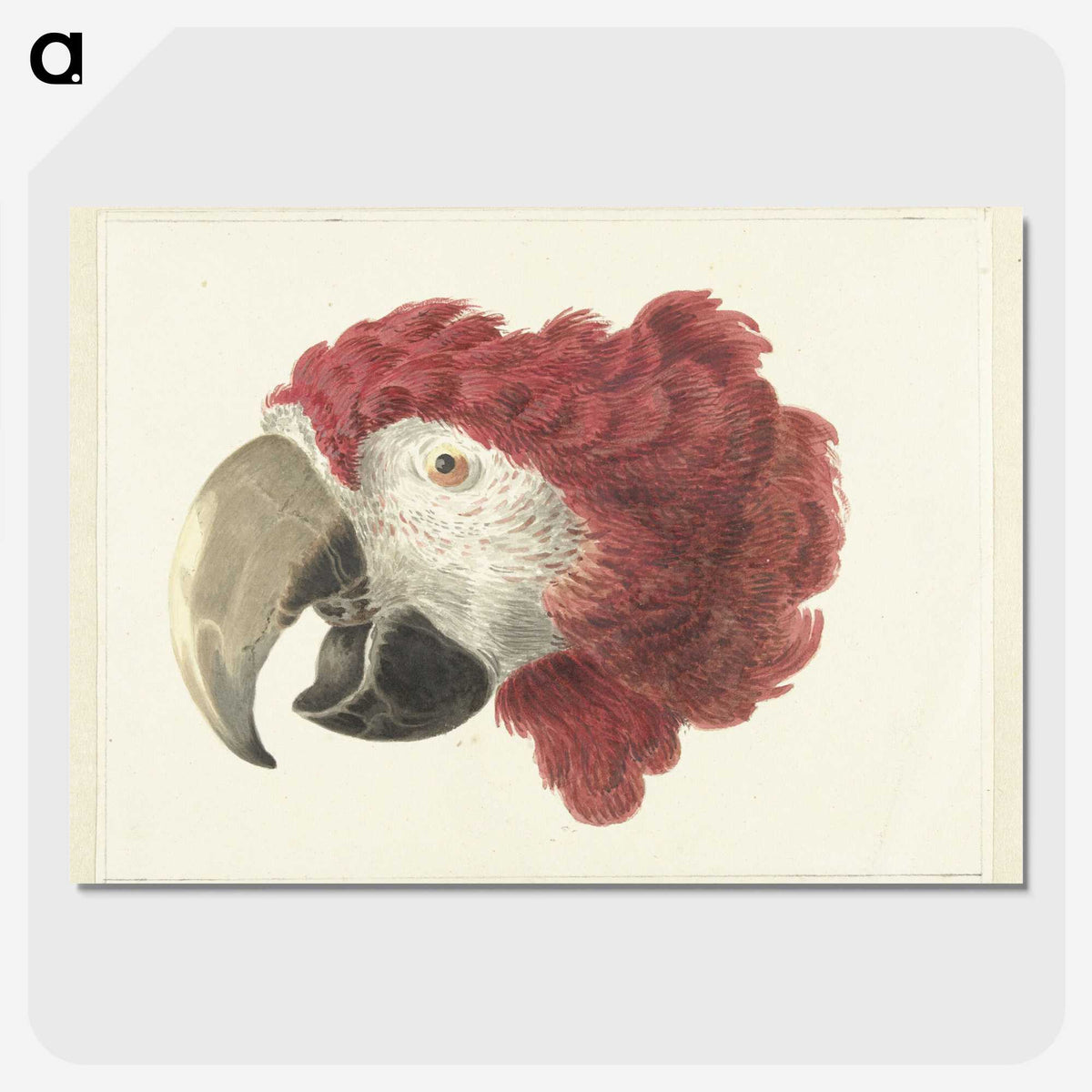 1-21_Aert-Schouman_picture-crop