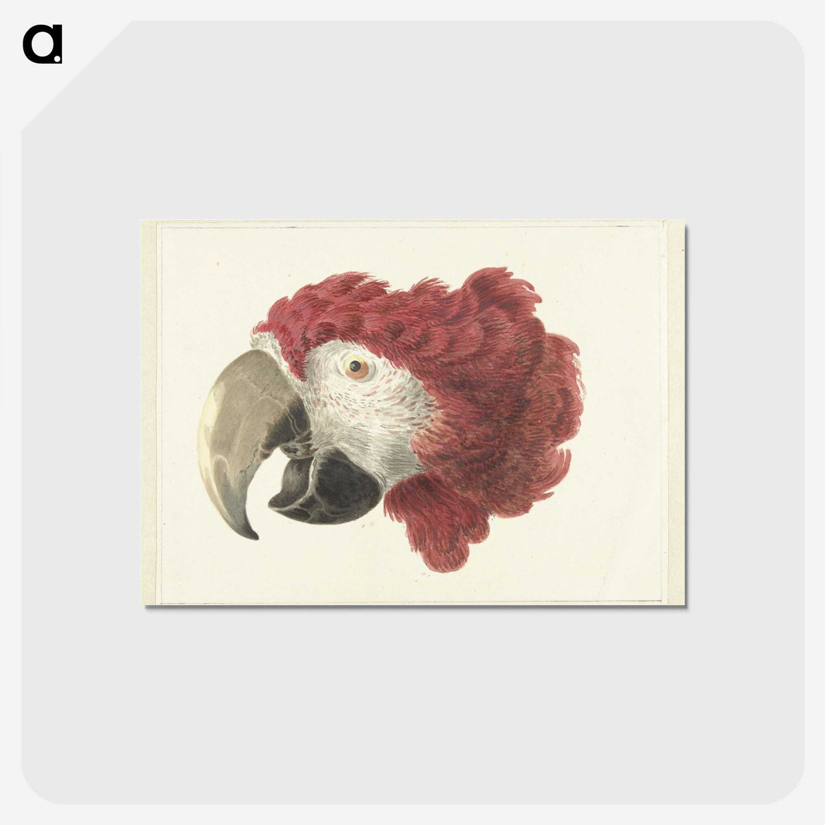 1-21_Aert-Schouman_postcard