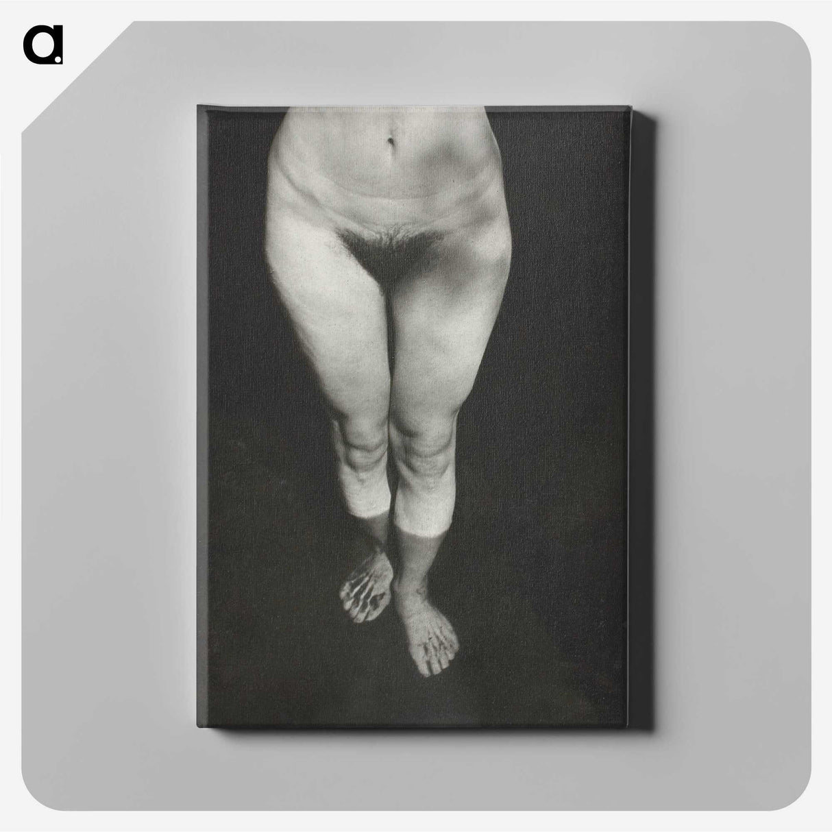1-21_Alfred-Stieglitz_canvas
