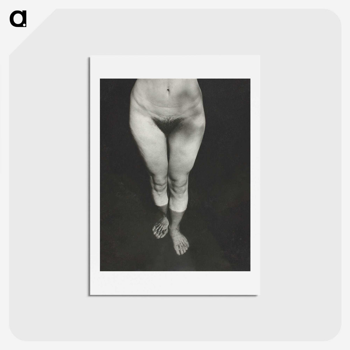 1-21_Alfred-Stieglitz_hagaki