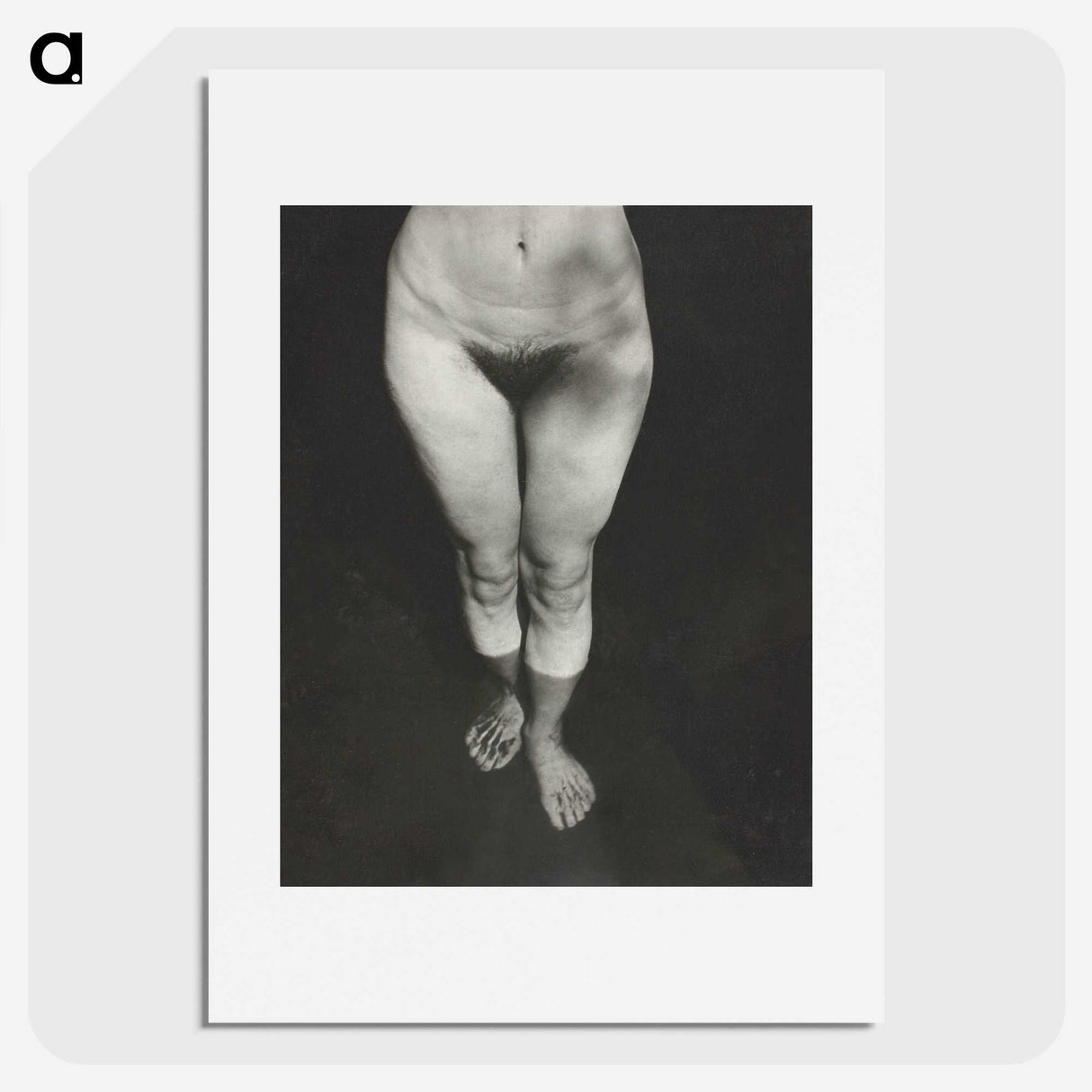 1-21_Alfred-Stieglitz_picture