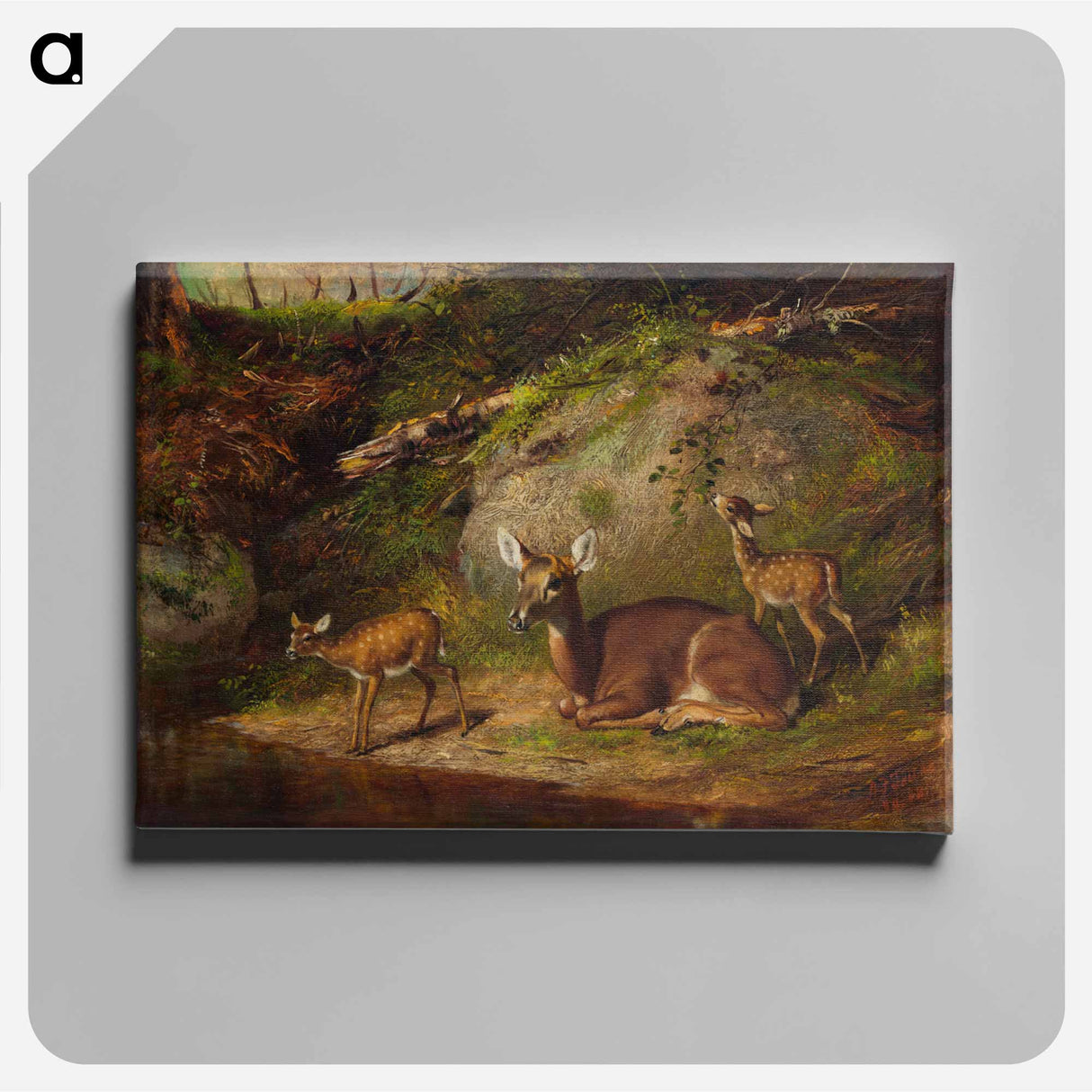Doe and Two Fawns - アーサー フィッツウィリアム テイト Canvas.
