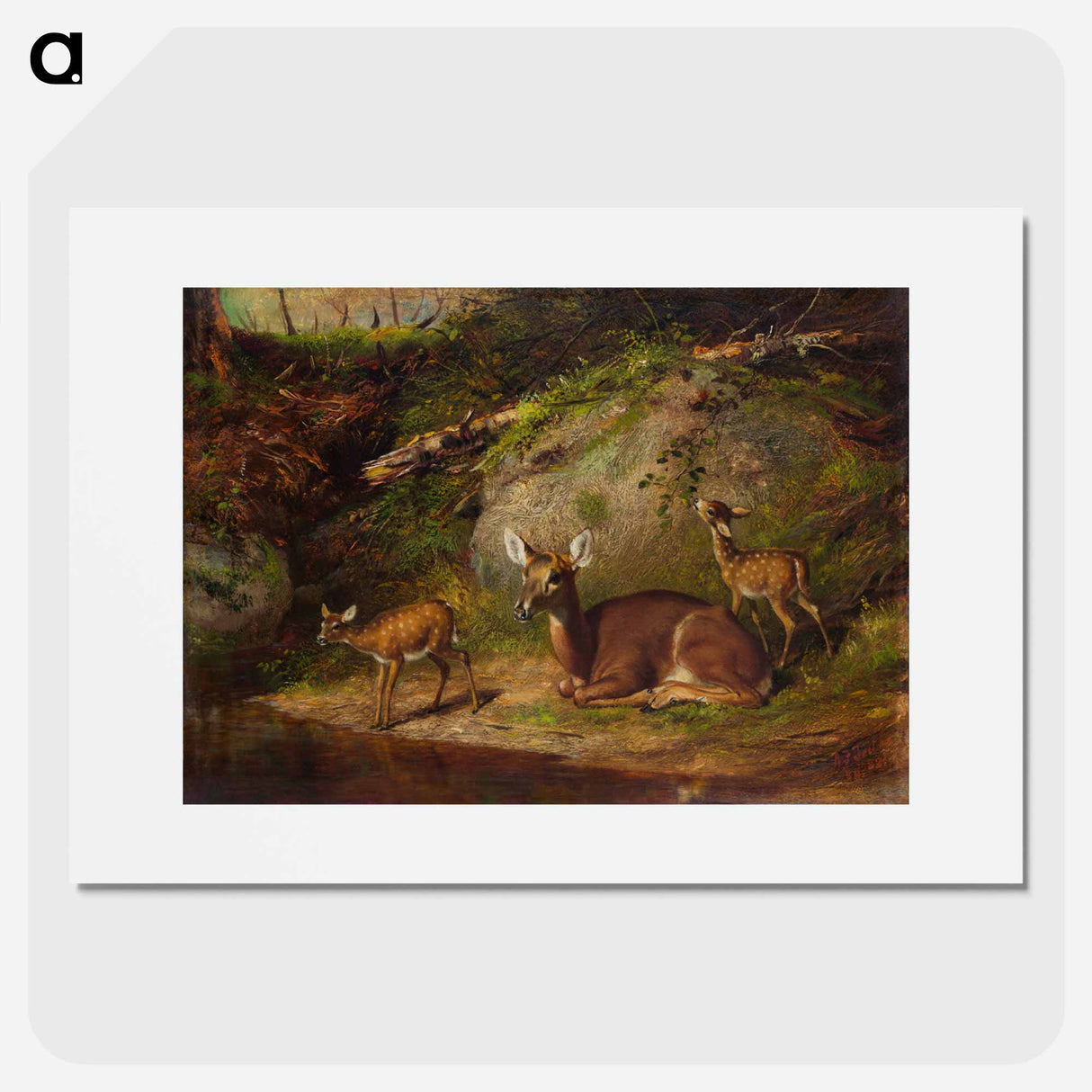 Doe and Two Fawns - アーサー フィッツウィリアム テイト Poster.