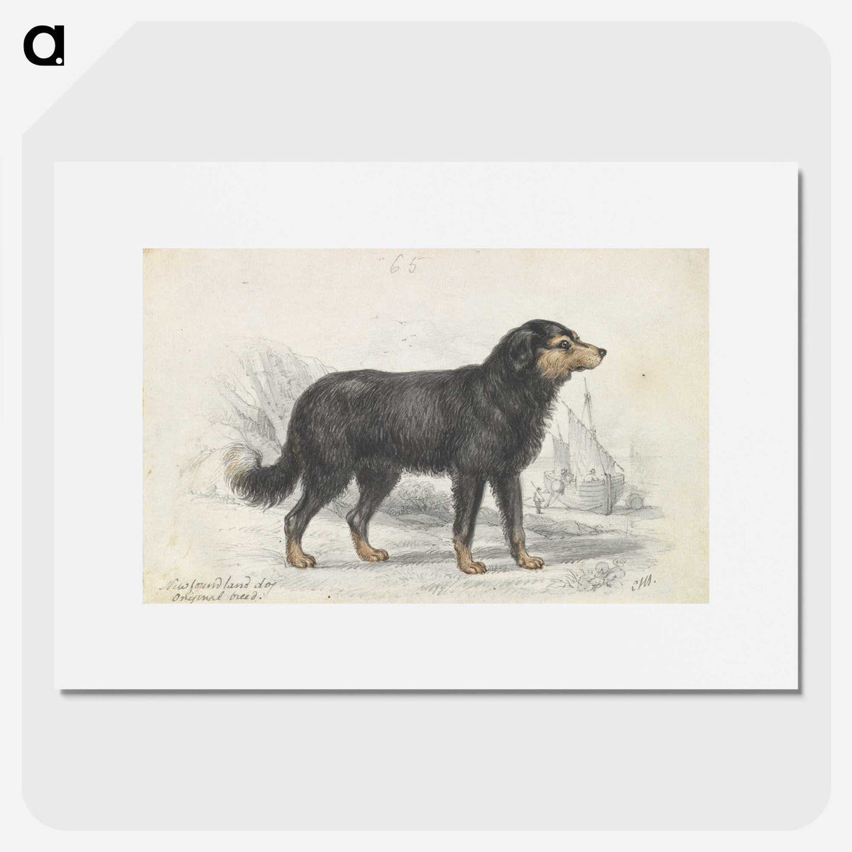 1-21_Charles-Hamilton-Smith_picture