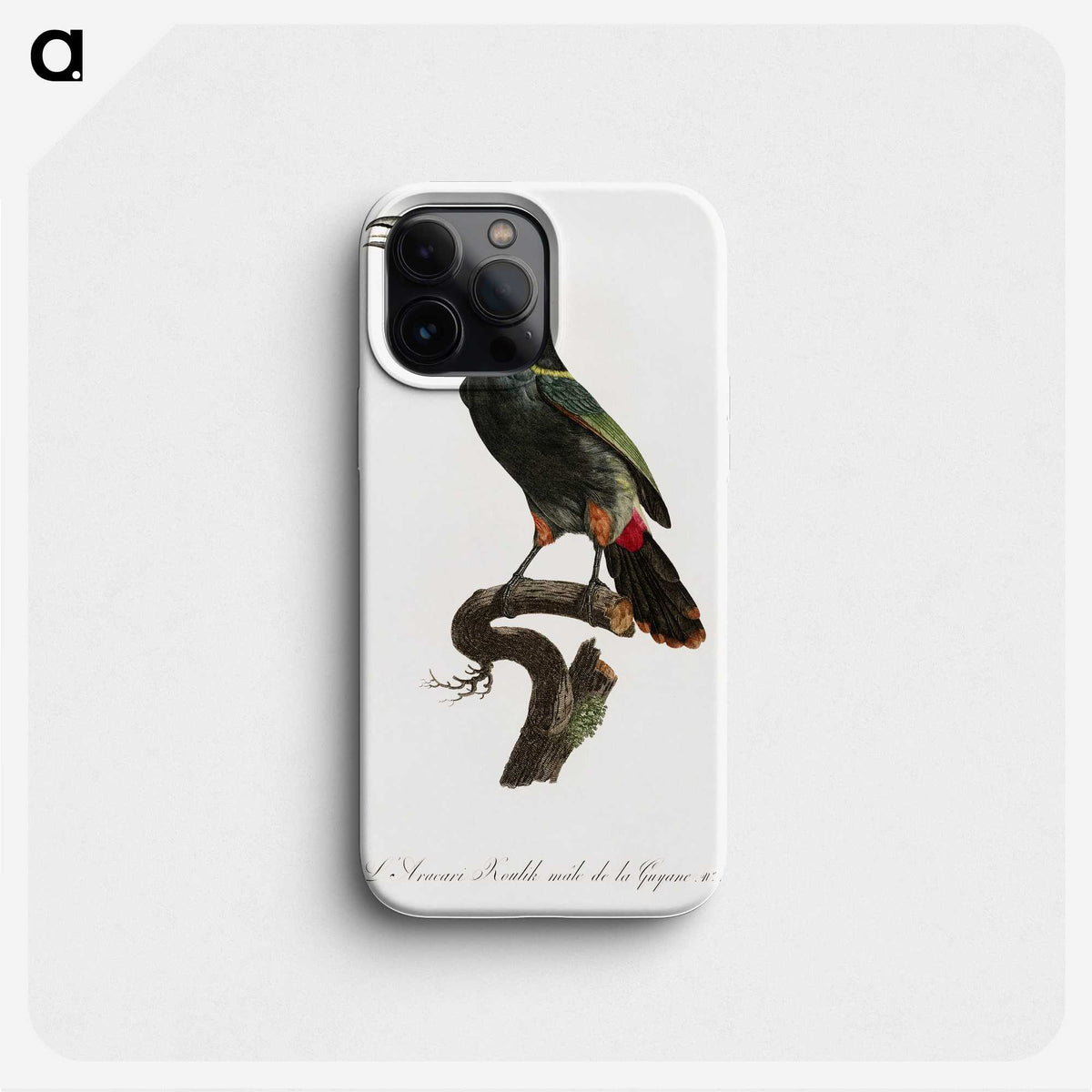 1-21_Des-Oiseaux-de-Paradis_phone