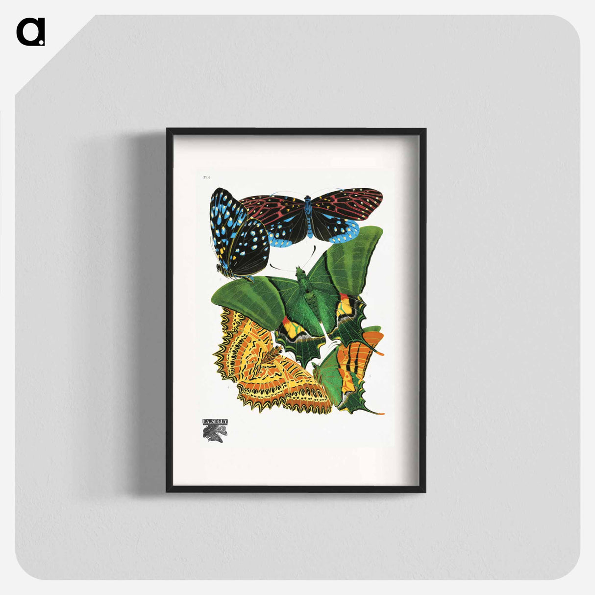 E.A. Séguy's vintage butterflies - E.A.セギー Poster.