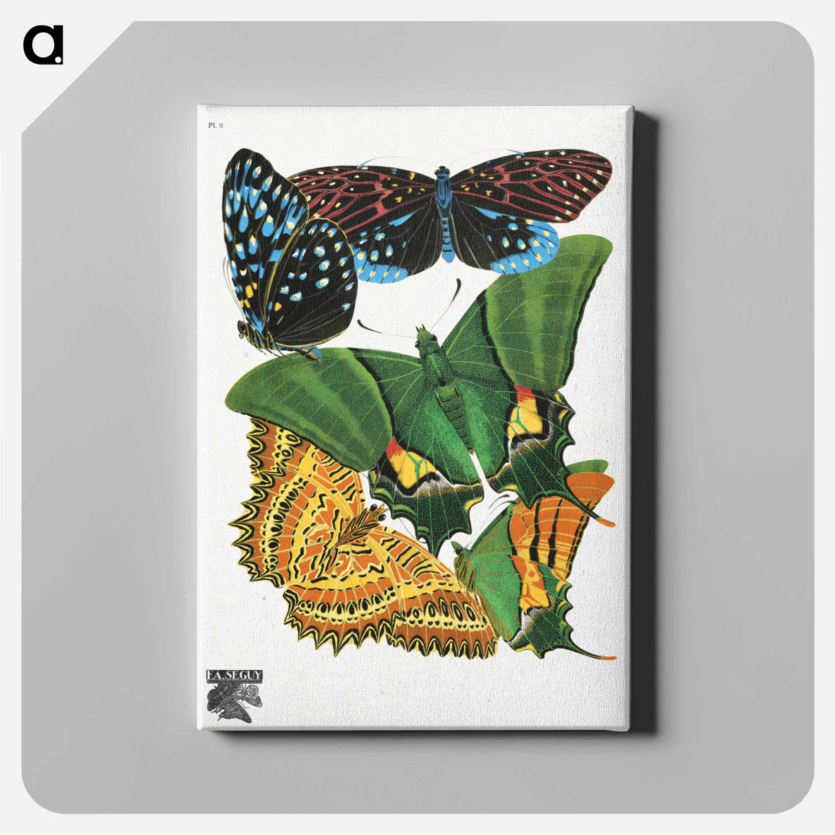 E.A. Séguy's vintage butterflies - E.A.セギー Canvas.