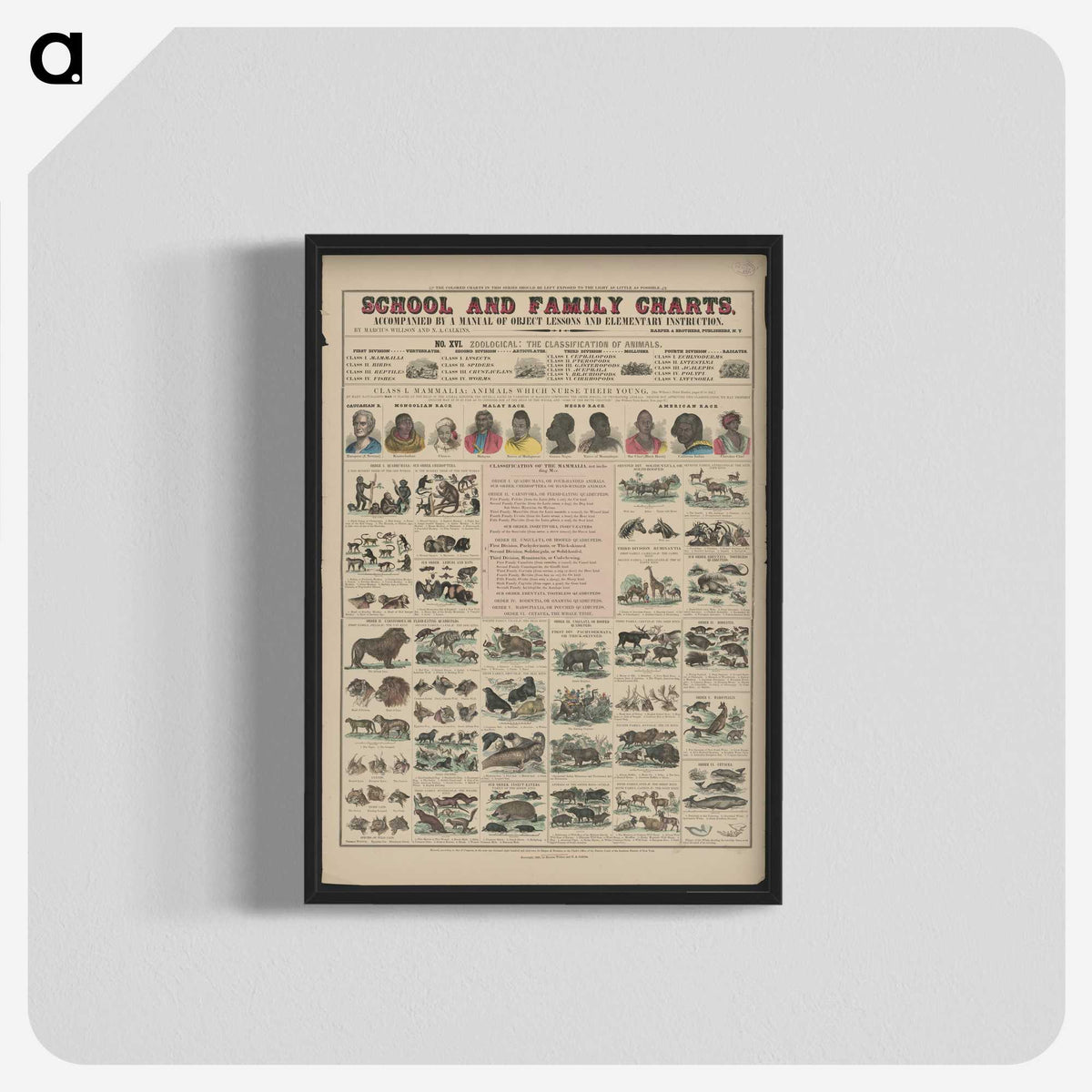 1-21_Education-Charts_blk-crop