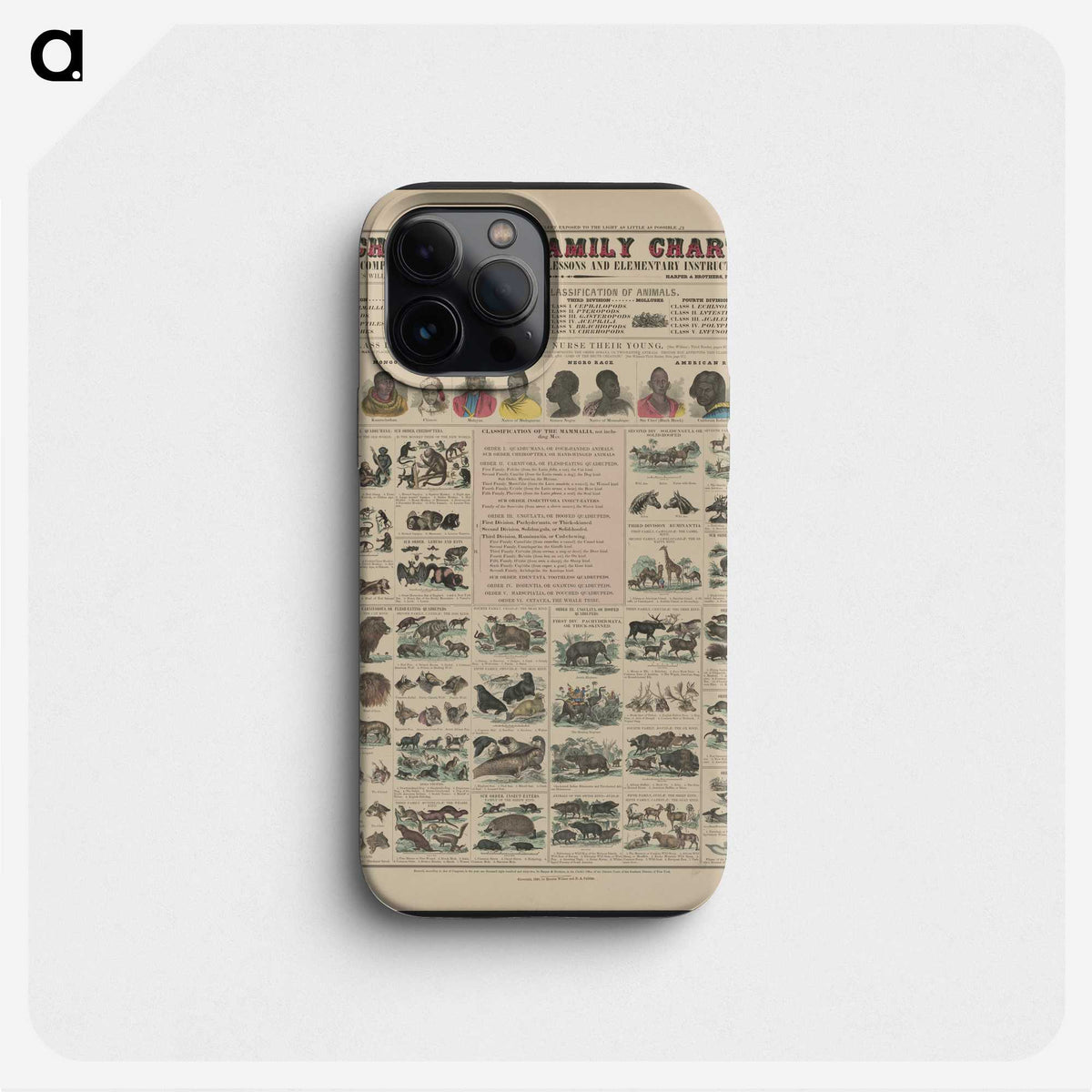 1-21_Education-Charts_phone