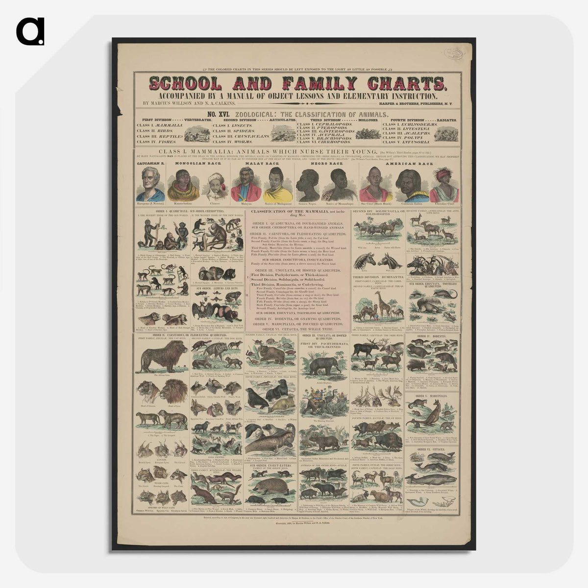 1-21_Education-Charts_picture-crop