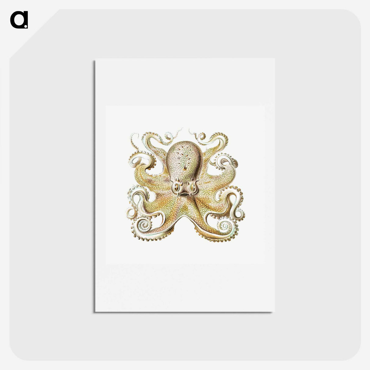1-21_Ernst-Haeckel_hagaki