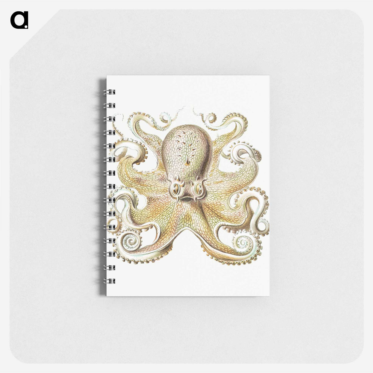 1-21_Ernst-Haeckel_memo