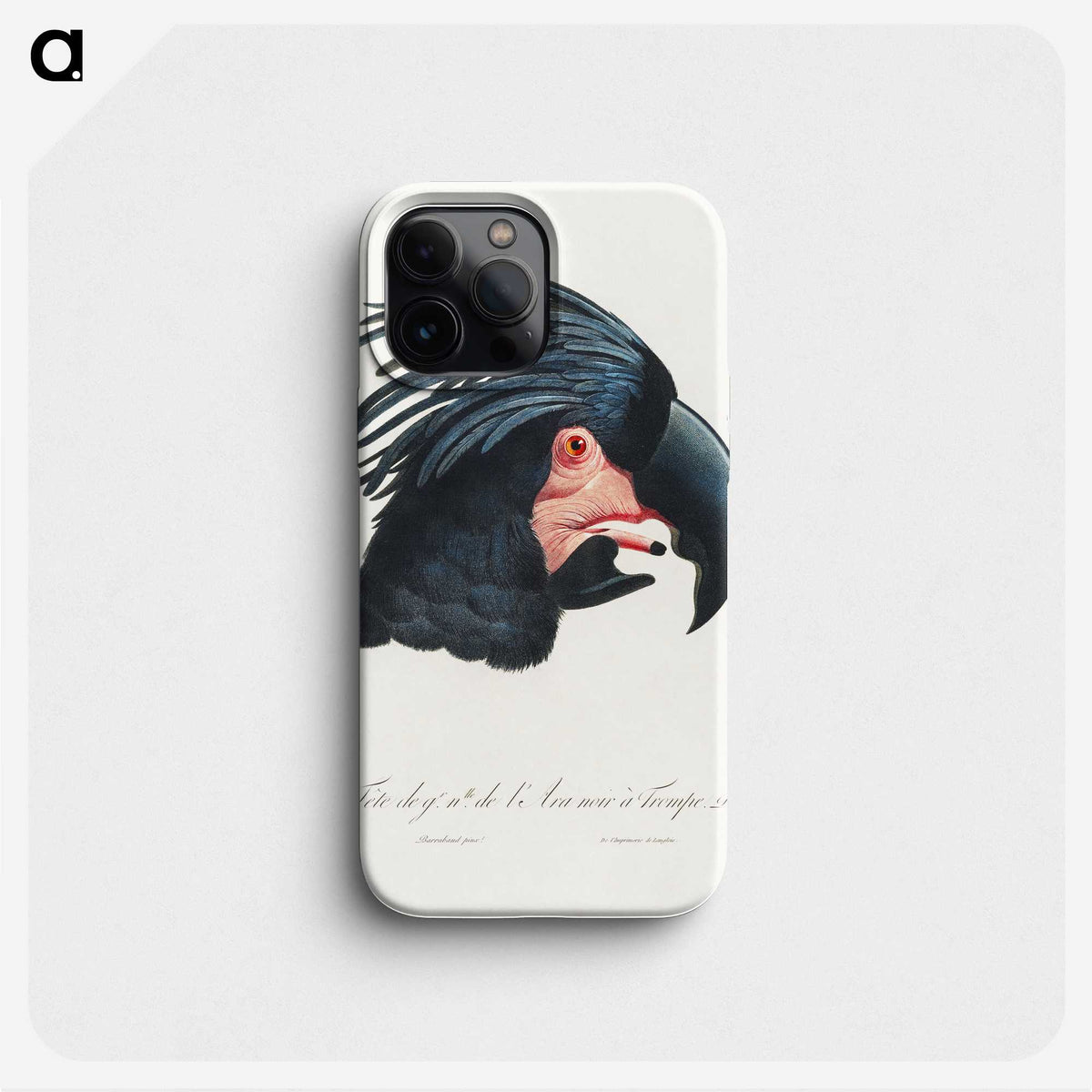 1-21_Francois-Levaillant_phone