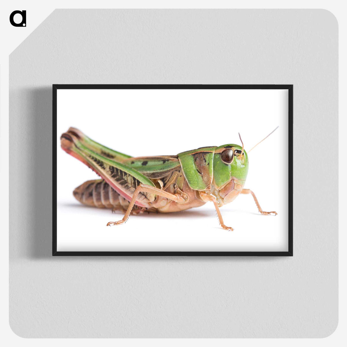 1-21_Insects-Unlocked-Project_blk-crop