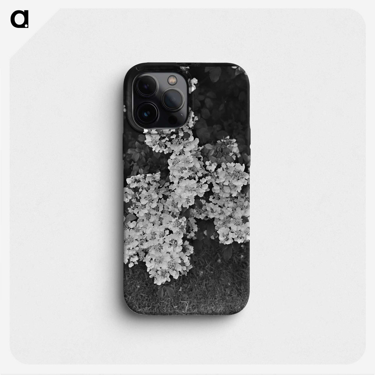 1-21_James-Walter-Chapman-Taylor_phone