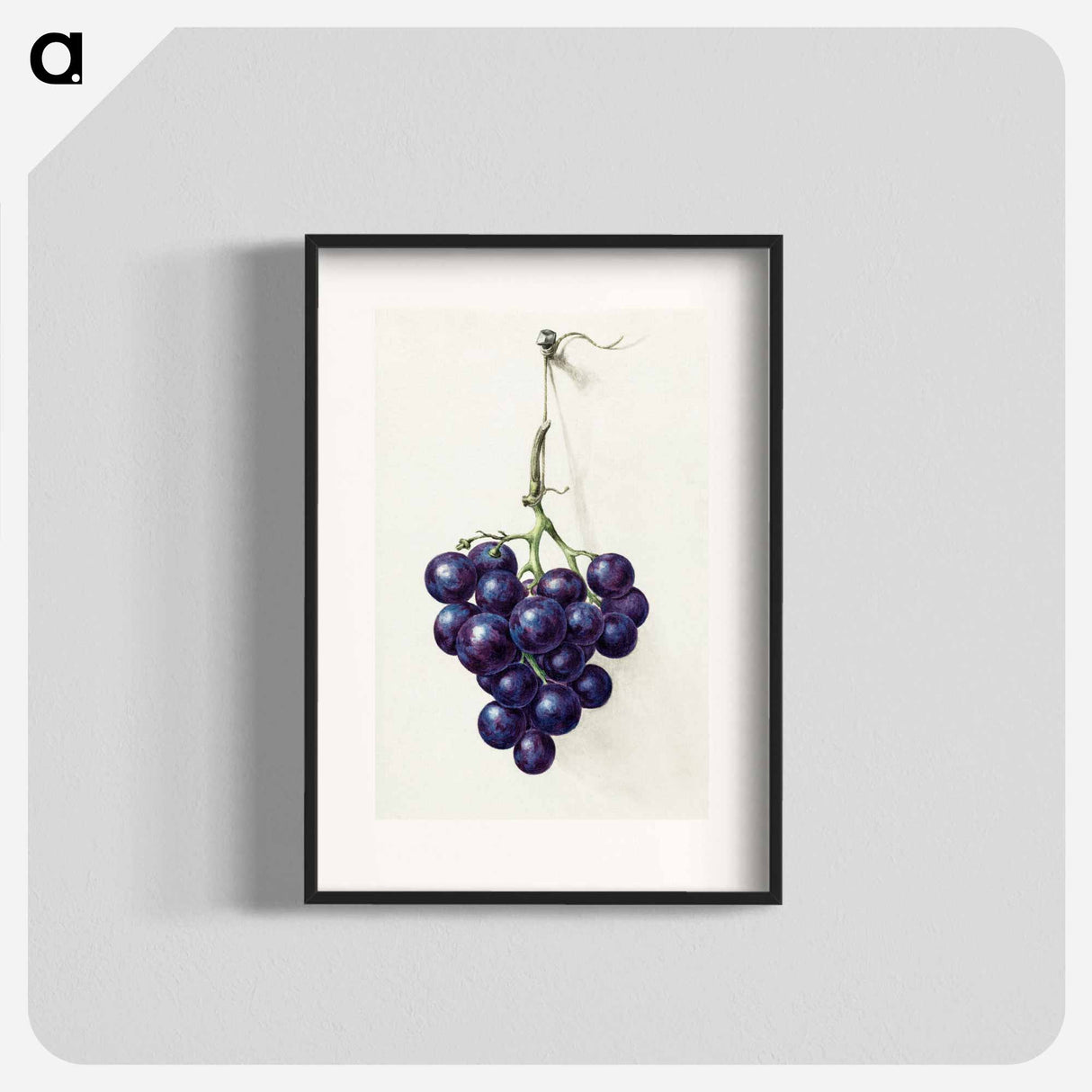 Bunch of blue grapes - Jean Bernard Poster.