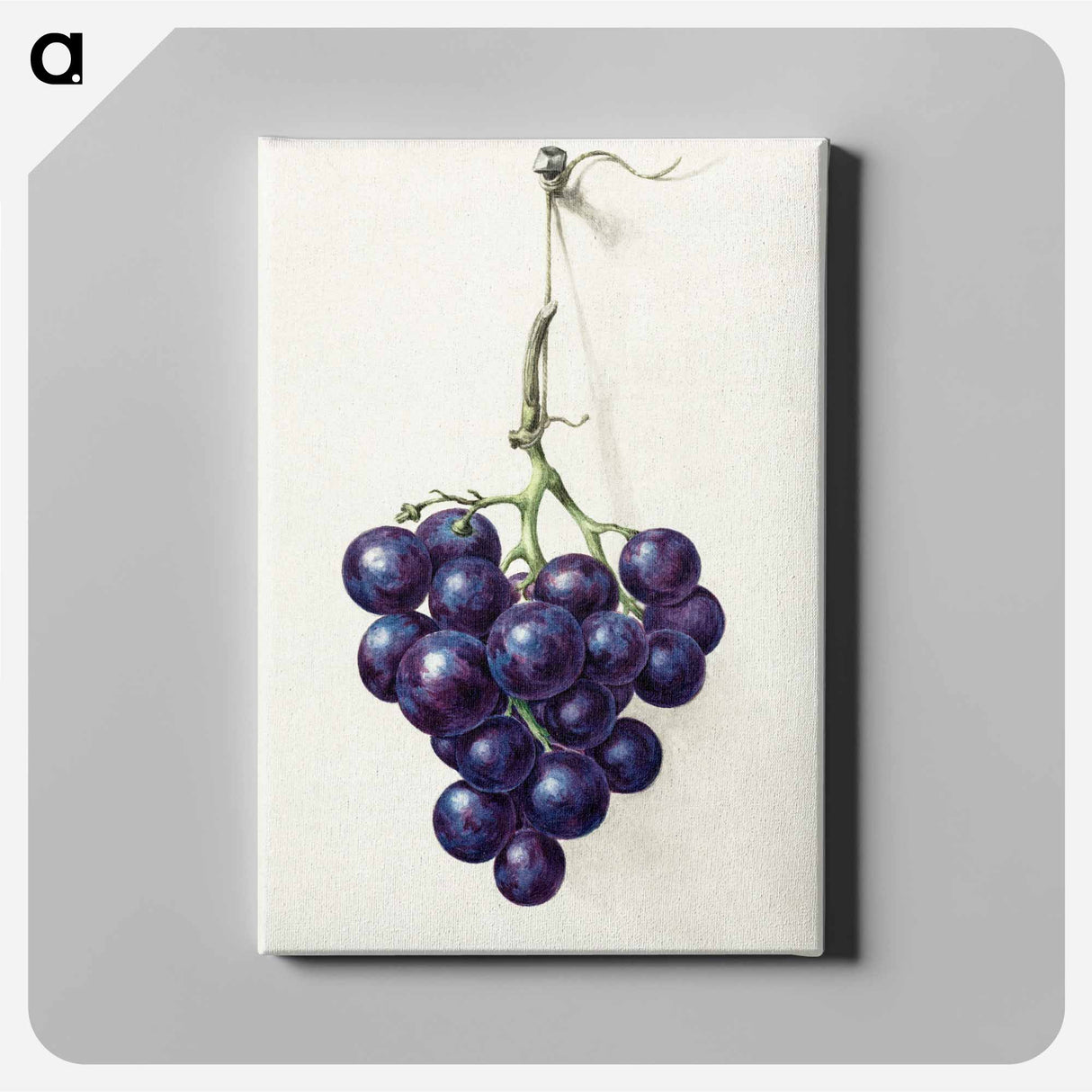 アートパネル-Bunch of blue grapes - ジャン ベルナール Canvas.