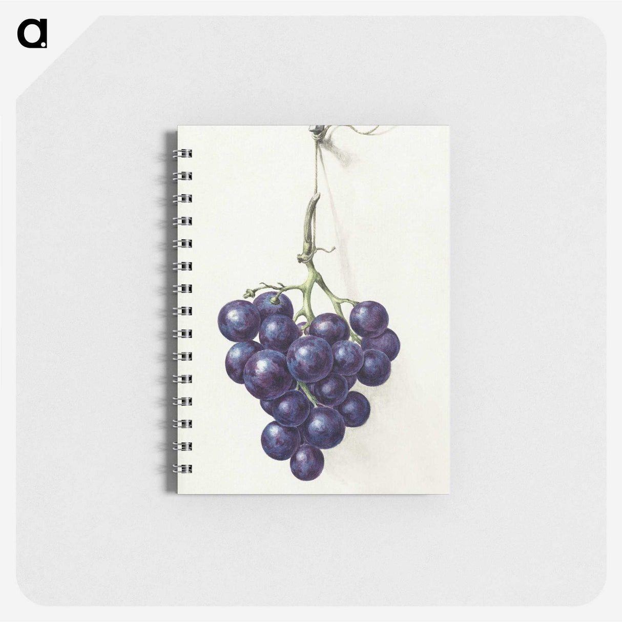 1-21_Jean-Bernard_memo