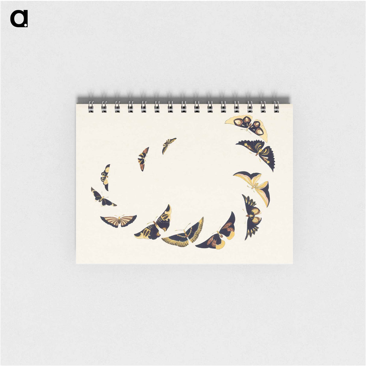 Vintage butterfly - 神坂 雪佳 Memo.