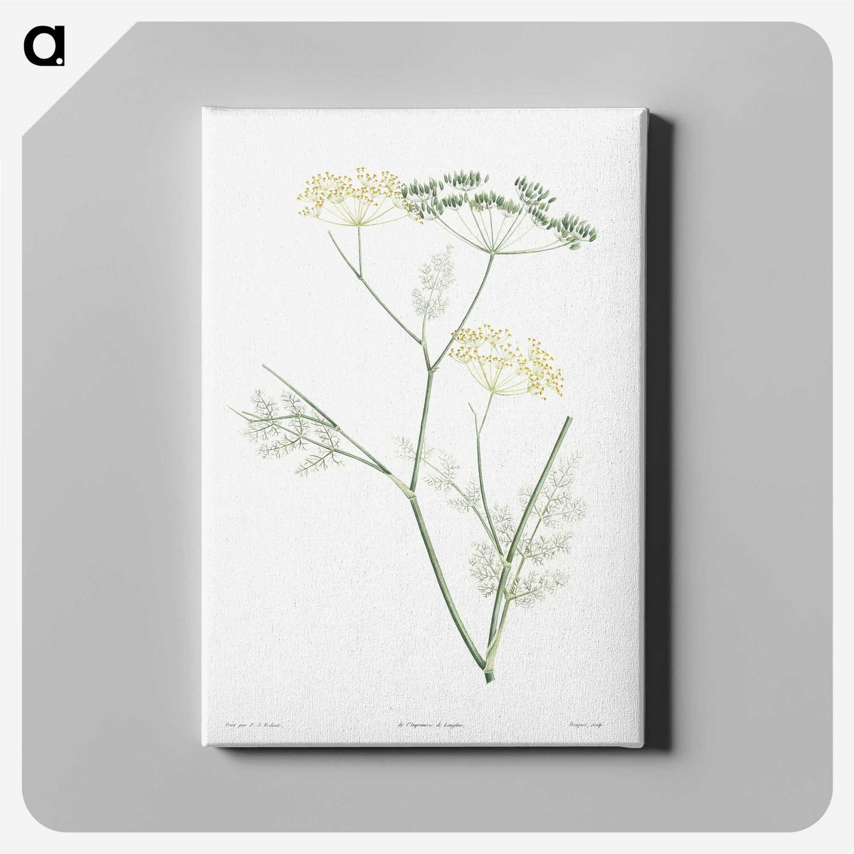 1-21_La-Botanique_canvas