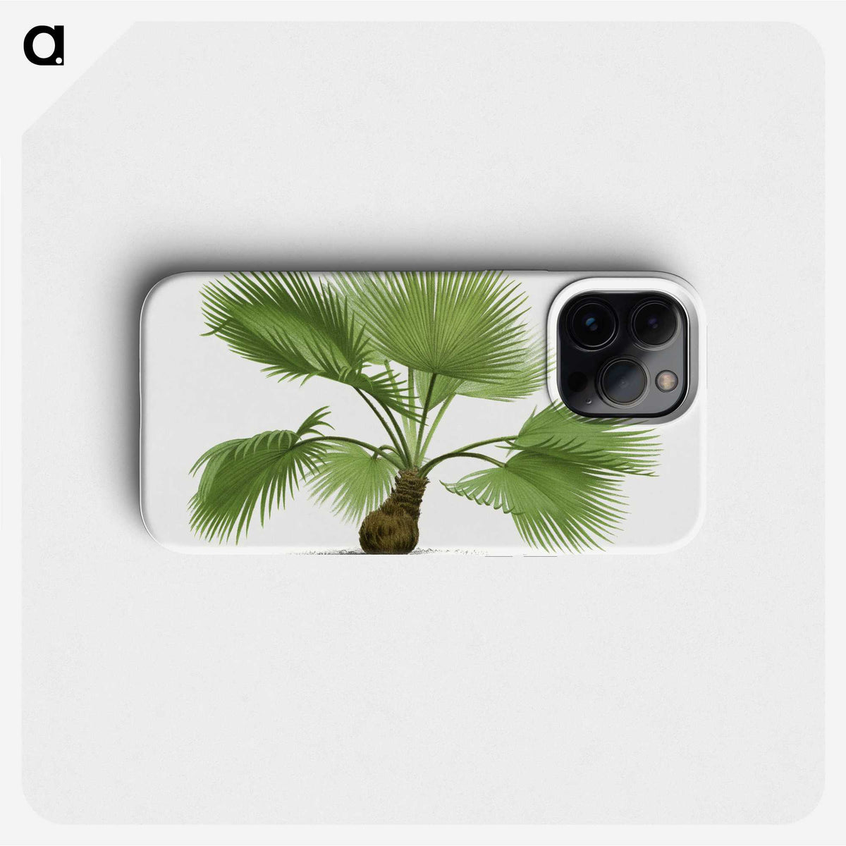 1-21_Les-Palmiers-Histoire-Iconographique_phone