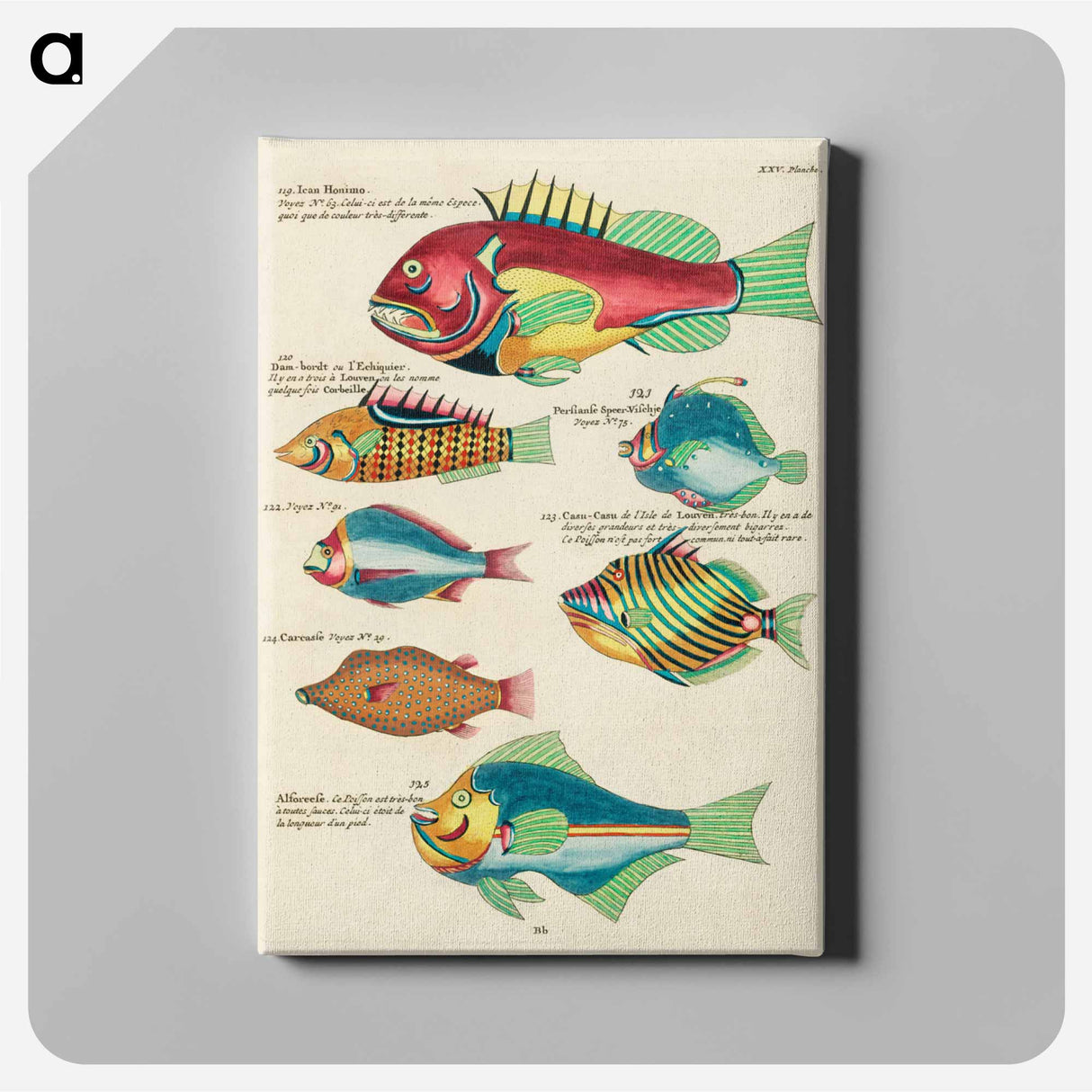 アートパネル-Moluccan Fishes
- ルイ ルナール Canvas.