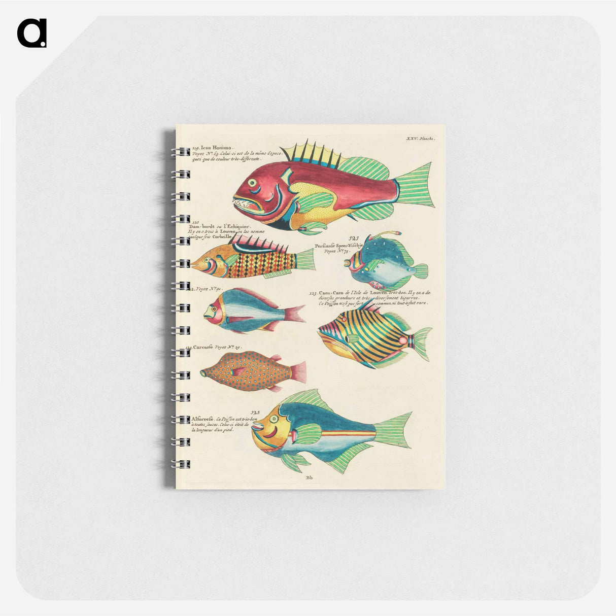 Moluccan Fishes
- ルイ ルナール Memo.