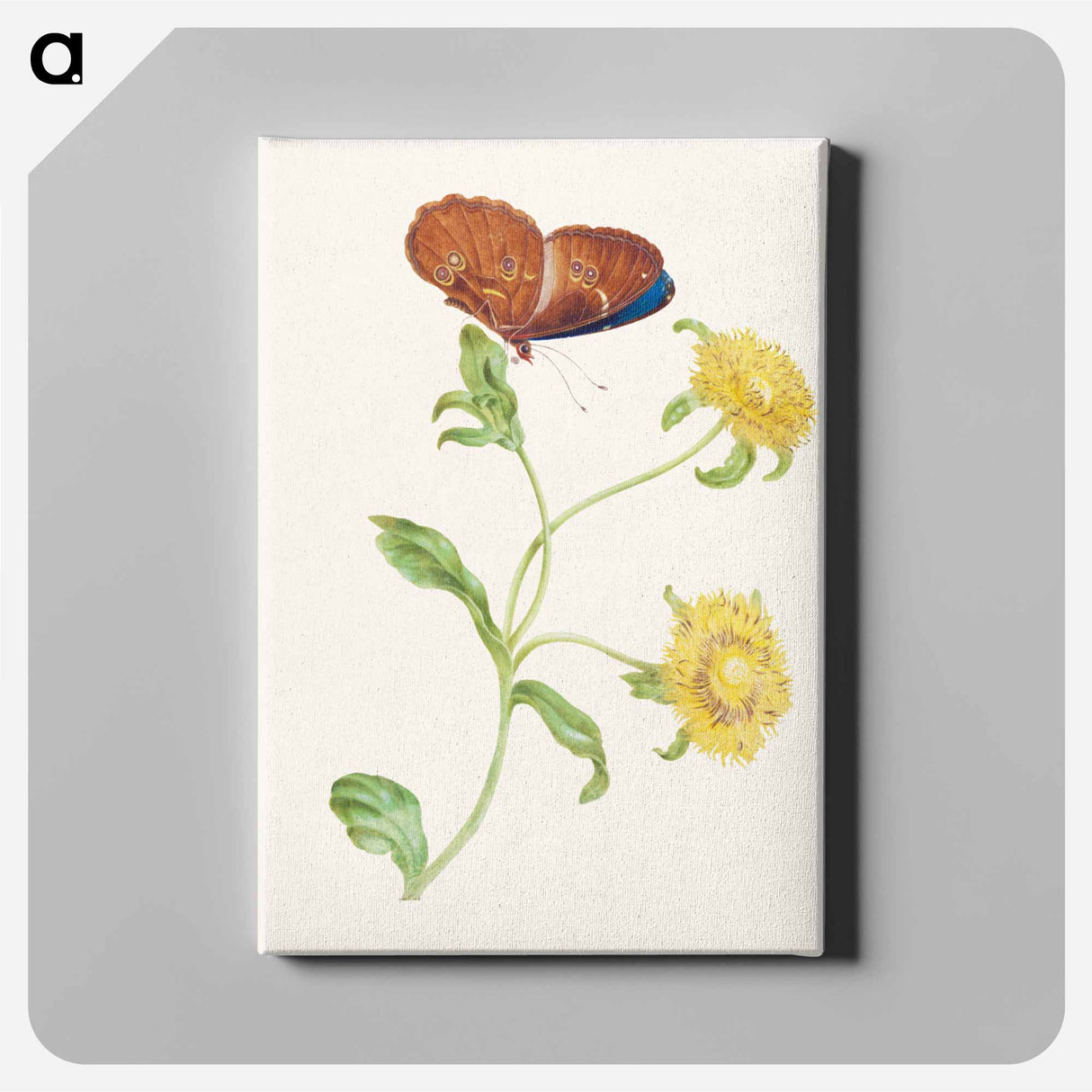 アートパネル-Butterfly on Yellow Flowers
- マリア ジビーラ メーリアン Canvas.