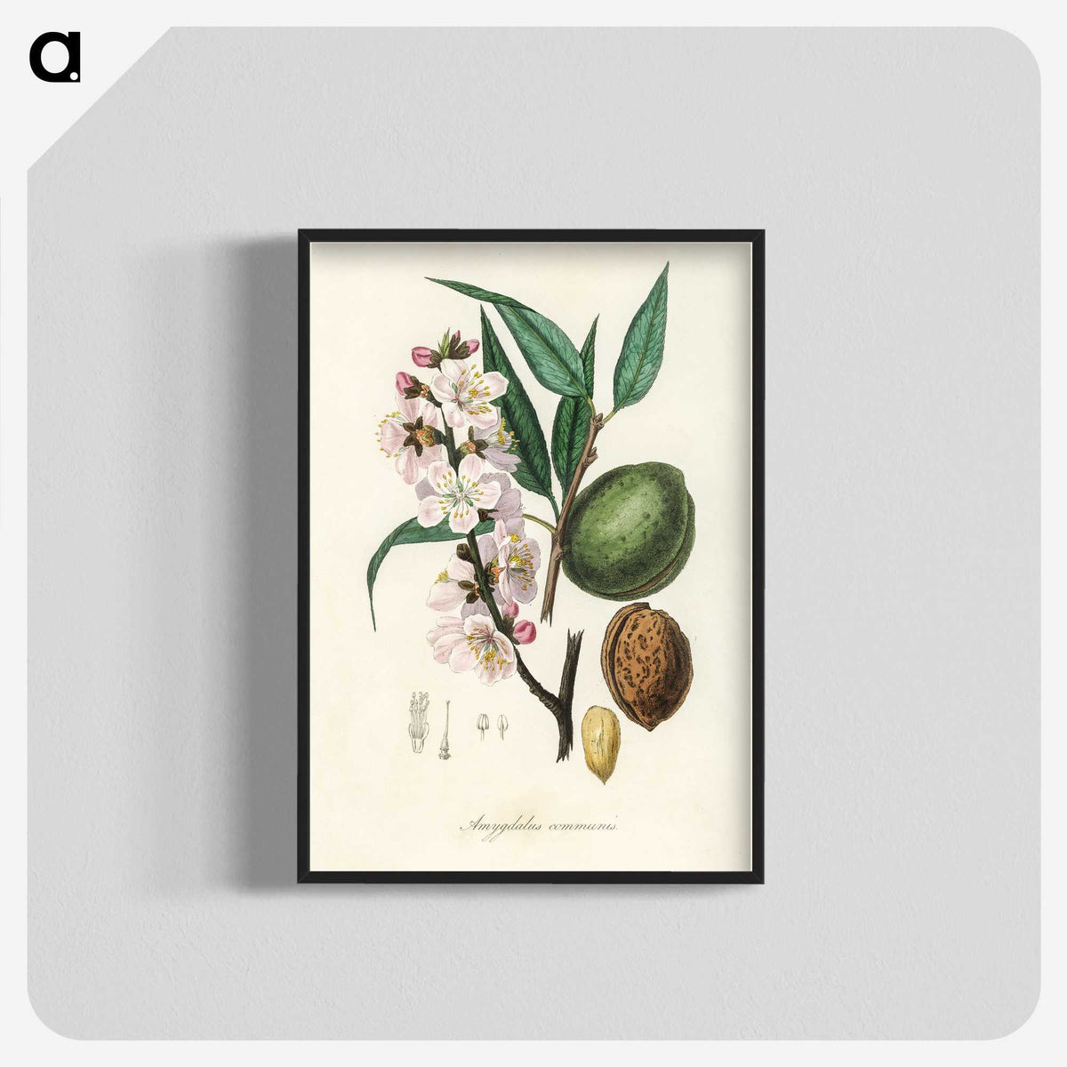 1-21_Medical-Botany_blk-crop