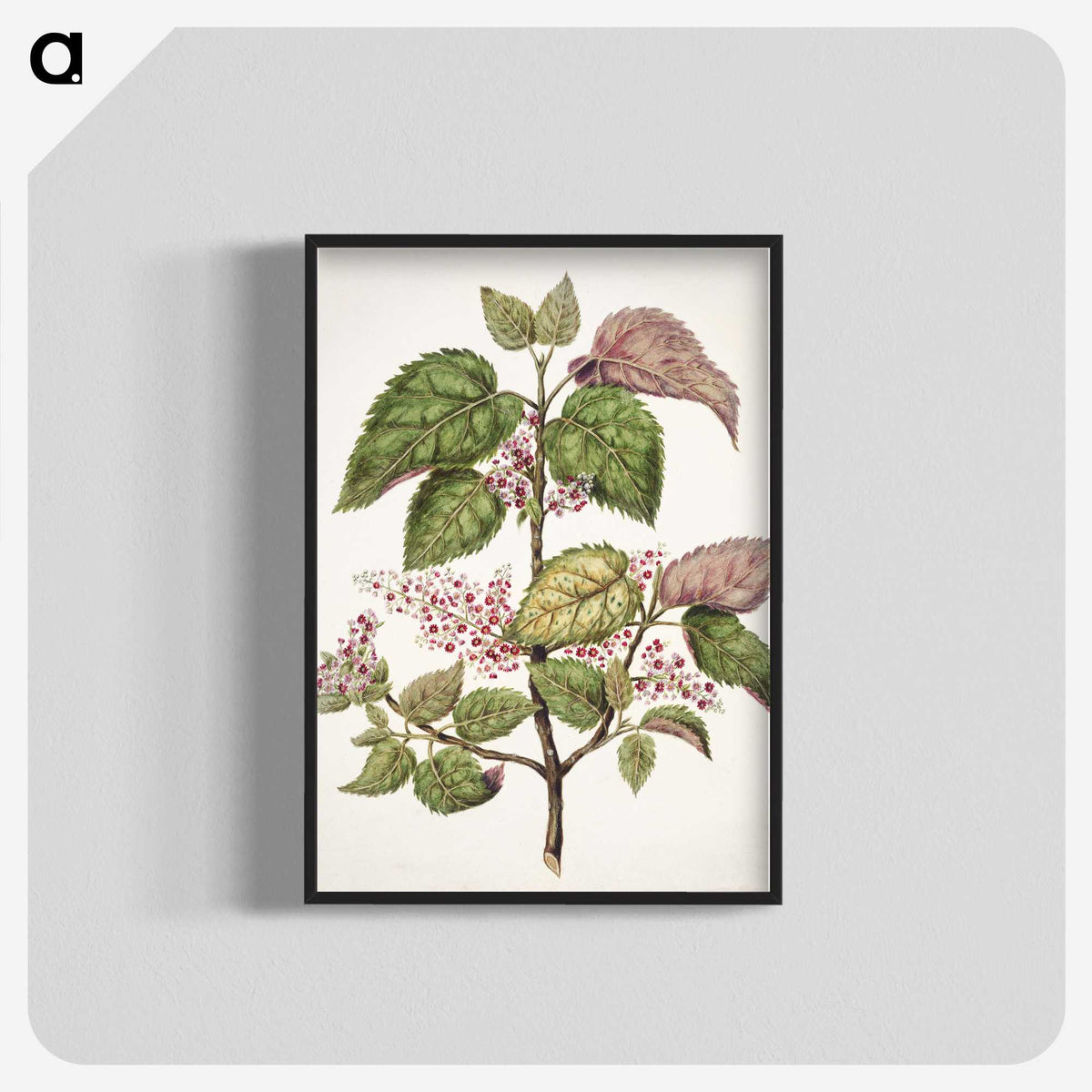 1-21_Native-Flowering-Plants-of-New-Zealand_blk-crop