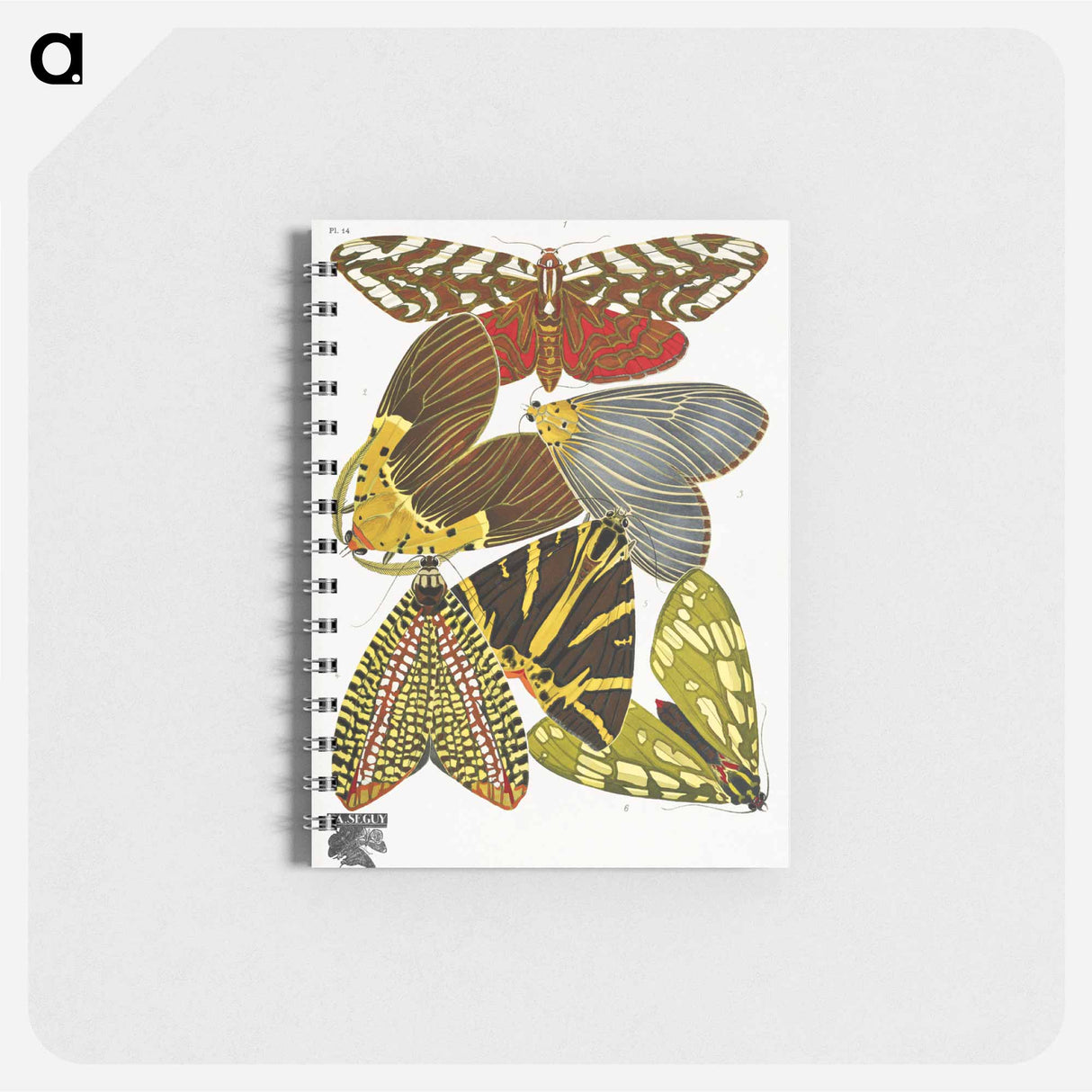 アートメモ帳-Vintage Butterflies
- パピヨン Memo.