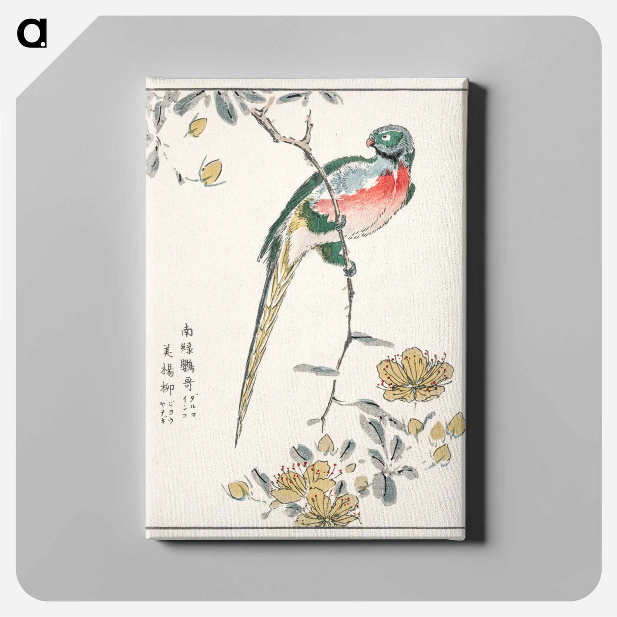 アートパネル-Macaw and Drooping Peach
- 鳥類図鑑 Canvas.