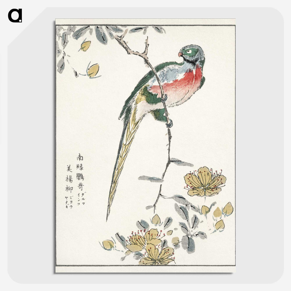 1-21_Pictorial-Monograph-of-Birds_picture-crop