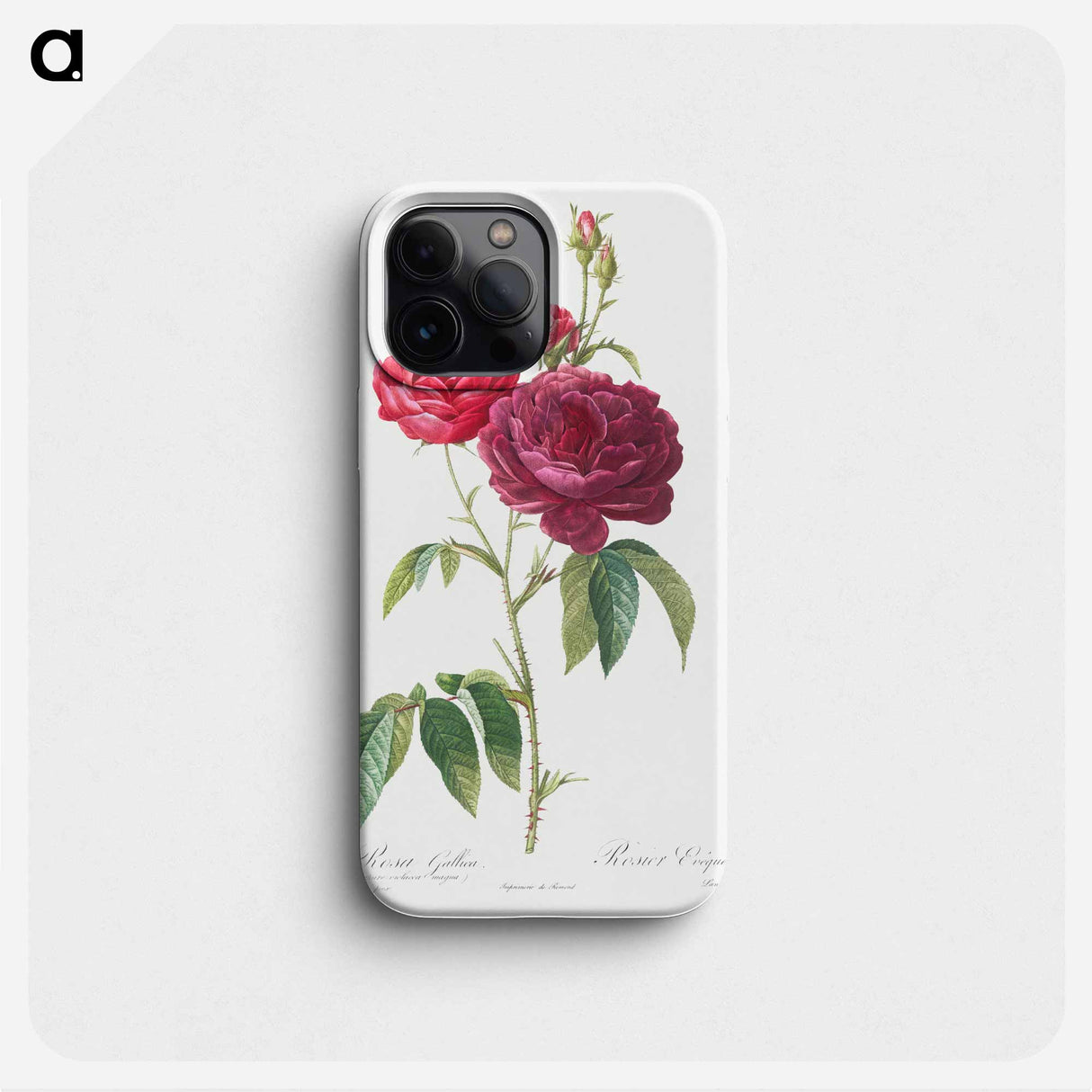 Purple French Rose - ピエール ジョゼフ ルドゥーテ Phone Case.