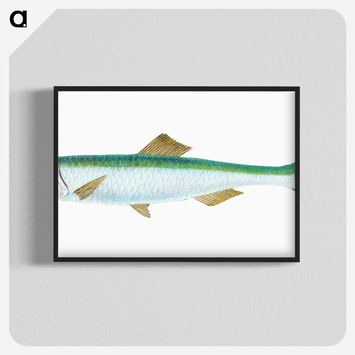 1-21_The-Natural-History-of-British-Fishes_blk-crop