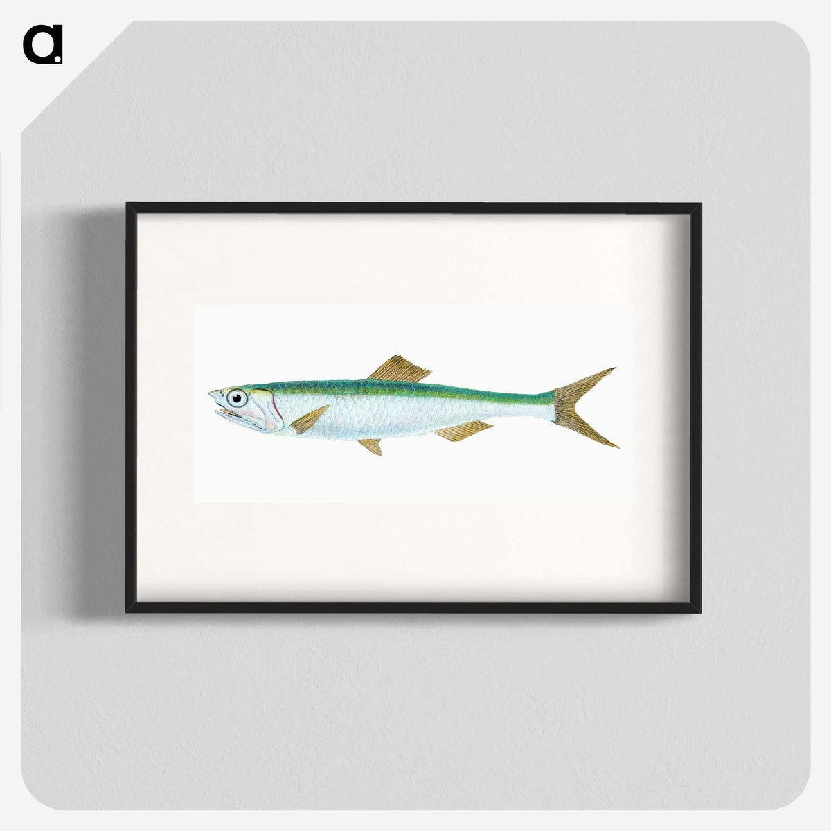 1-21_The-Natural-History-of-British-Fishes_blk