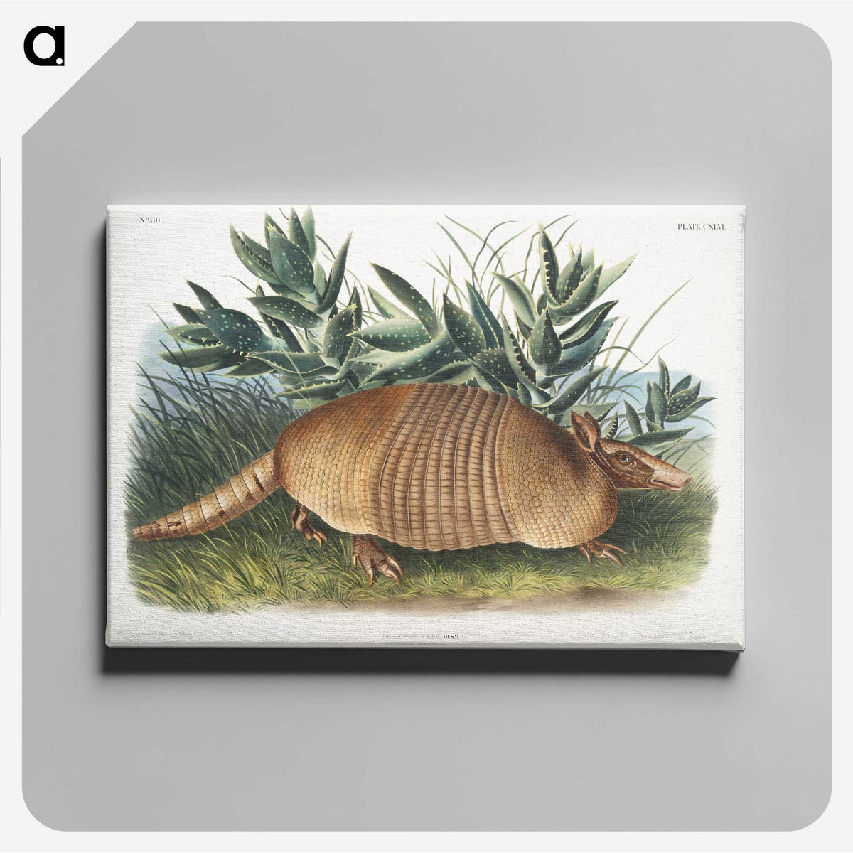 1-21_The-Viviparous-Quadrupeds_canvas