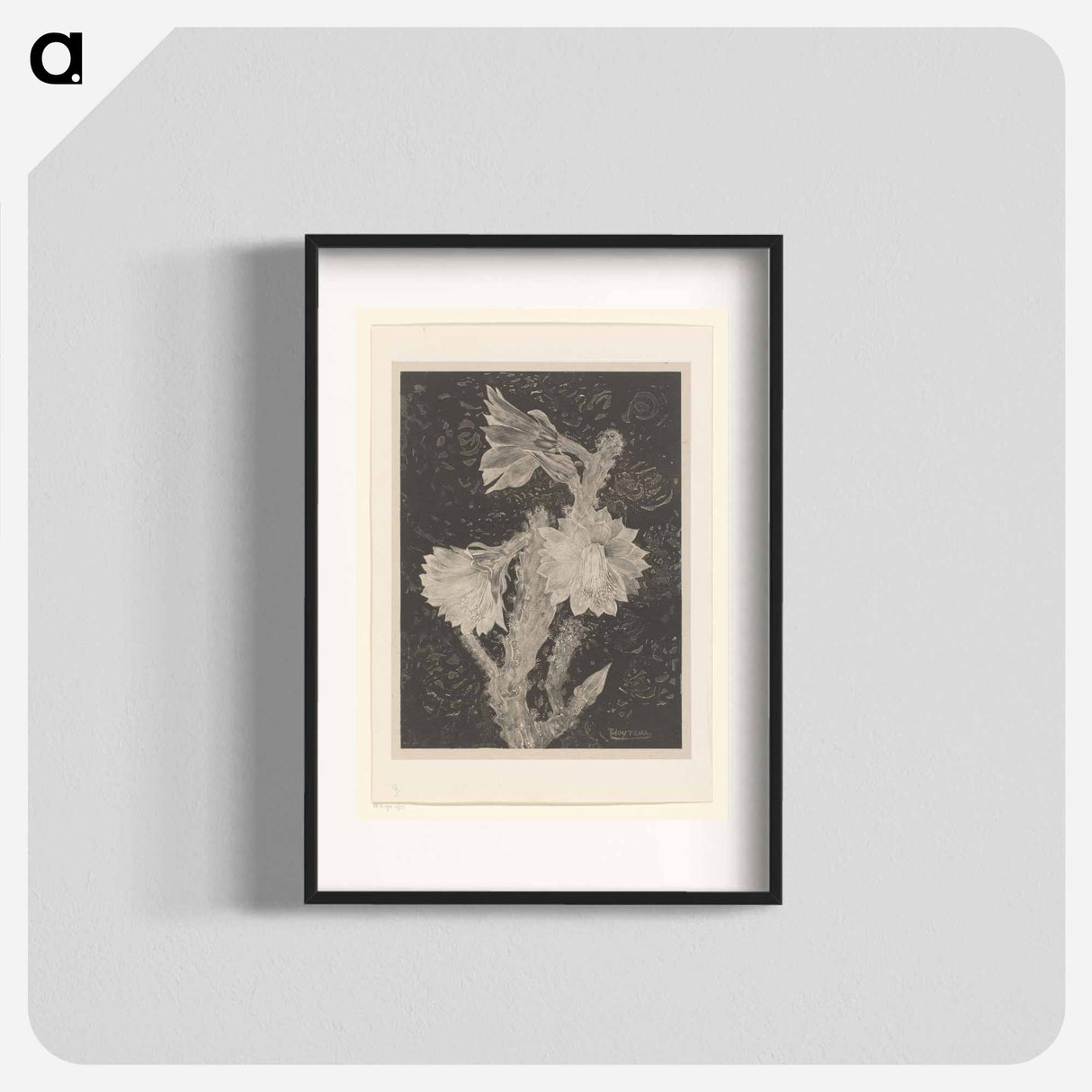 Bloeiende cactus - Theo van Hoytema Poster.