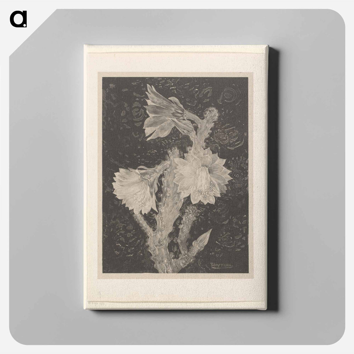 Bloeiende cactus - Theo van Hoytema Canvas.