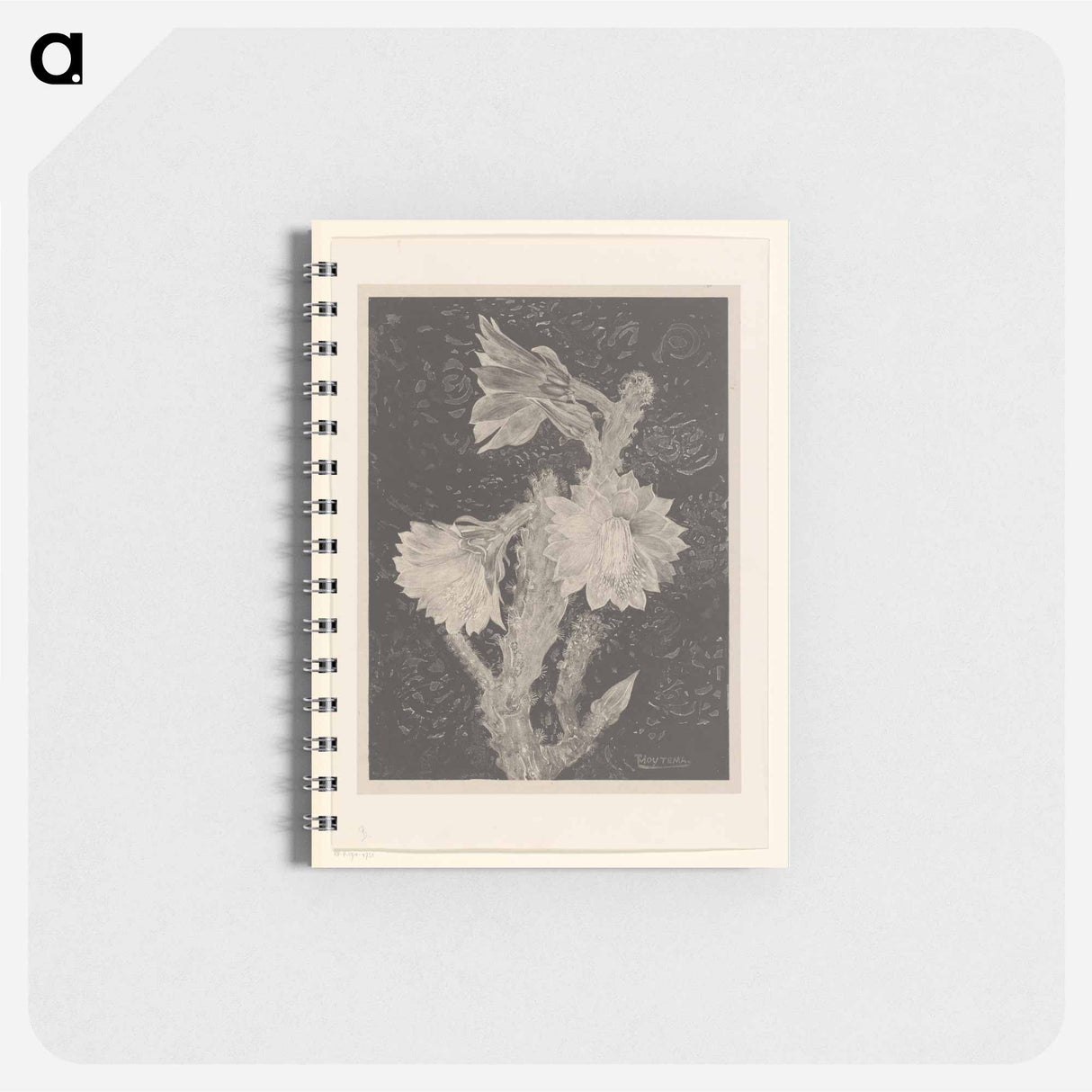 Bloeiende cactus - テオ ヴァン ホイテマ Memo.