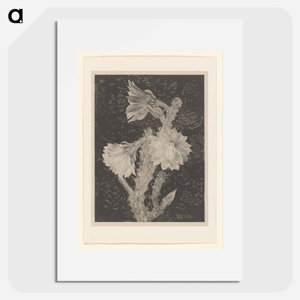 Bloeiende cactus - Theo van Hoytema Poster.